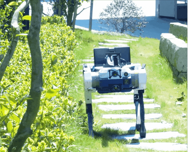 动图3.gif