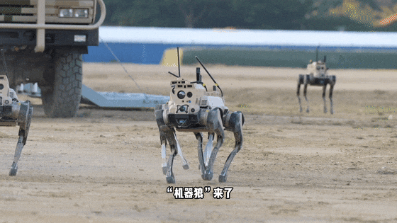 微信图片_20250911142653.gif