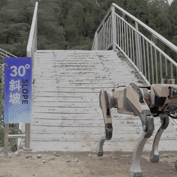 640 (5).gif