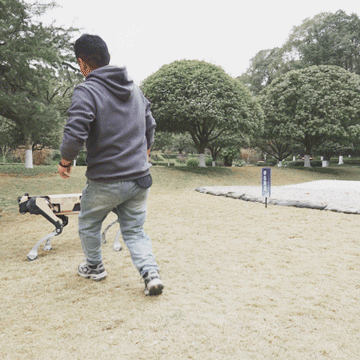 640 (3).gif