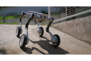/ueditor/image/20260724/1784887998074418/177546be37b12c0a7643b75b2a3efd54.gif ce3ea96b952da96c222177c4db6c1a58.gif